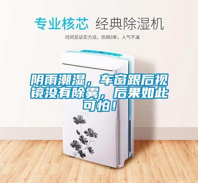 陰雨潮濕，車窗跟后視鏡沒有除霧，后果如此可怕！