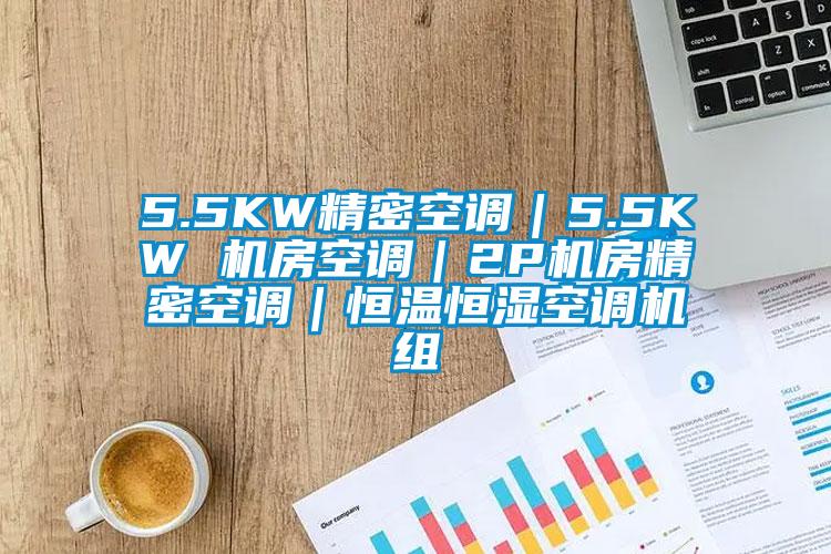 5.5KW精密空調|5.5KW 機房空調|2P機房精密空調|恒溫恒濕空調機組