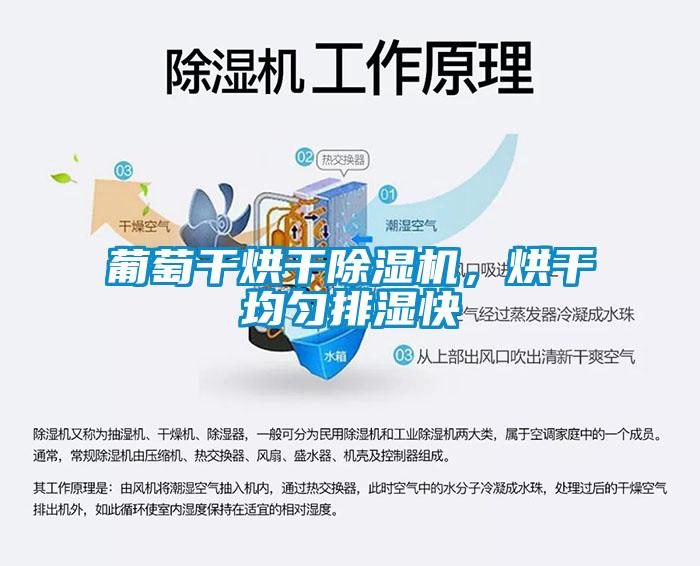 葡萄干烘干除濕機，烘干均勻排濕快