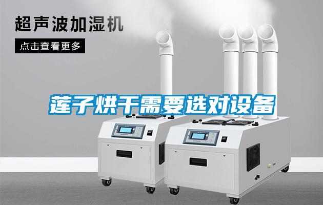 蓮子烘干需要選對(duì)設(shè)備