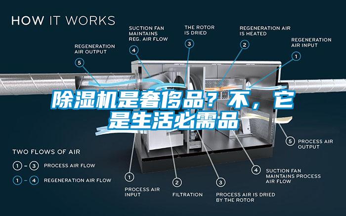 除濕機是奢侈品？不，它是生活必需品