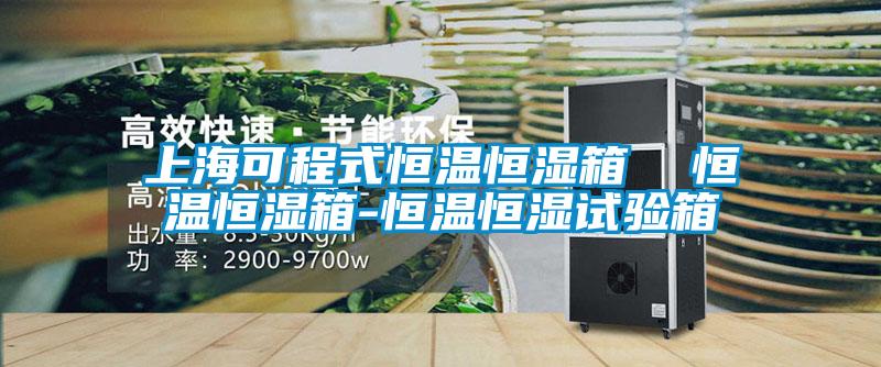 上?？沙淌胶銣睾銤裣? 恒溫恒濕箱-恒溫恒濕試驗箱