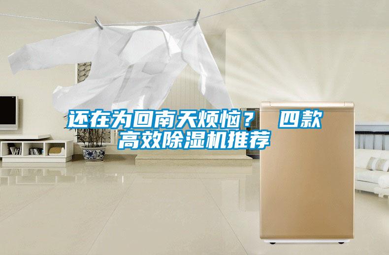 還在為回南天煩惱？ 四款高效除濕機推薦