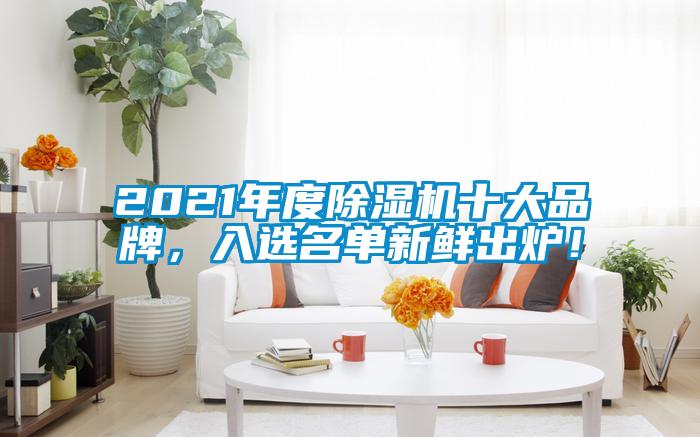 2021年度除濕機十大品牌，入選名單新鮮出爐！