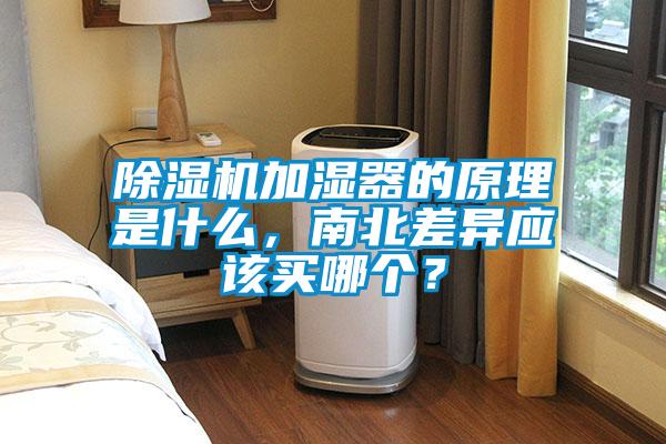 除濕機(jī)加濕器的原理是什么，南北差異應(yīng)該買哪個(gè)？