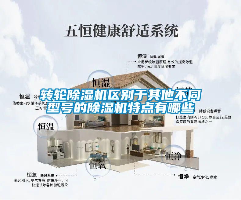 轉輪除濕機區(qū)別于其他不同型號的除濕機特點有哪些