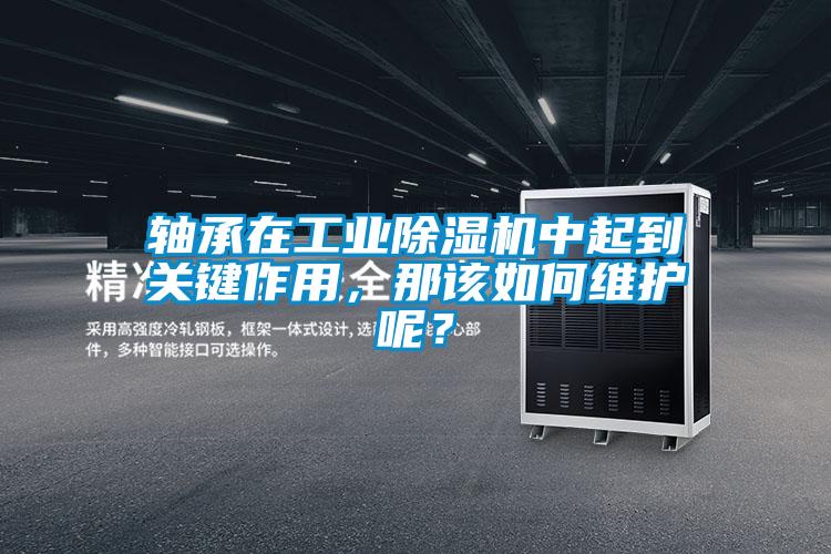 軸承在工業除濕機中起到關鍵作用，那該如何維護呢？