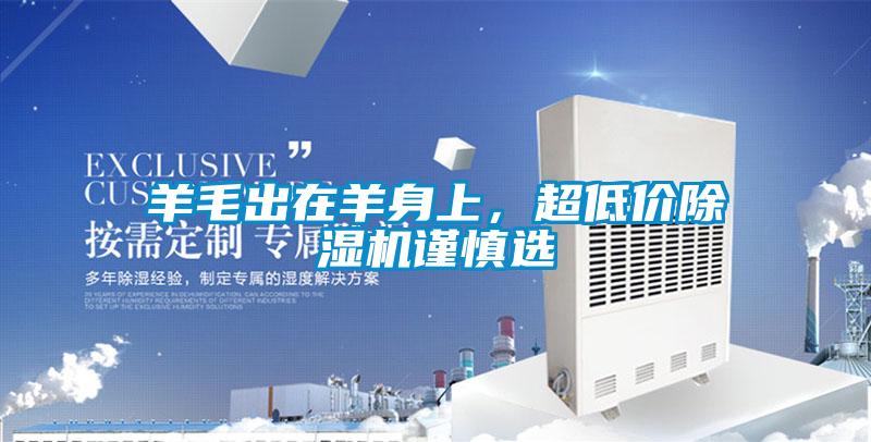 羊毛出在羊身上，超低價除濕機謹慎選