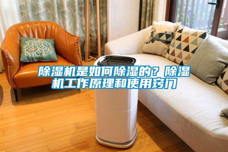除濕機是如何除濕的？除濕機工作原理和使用竅門