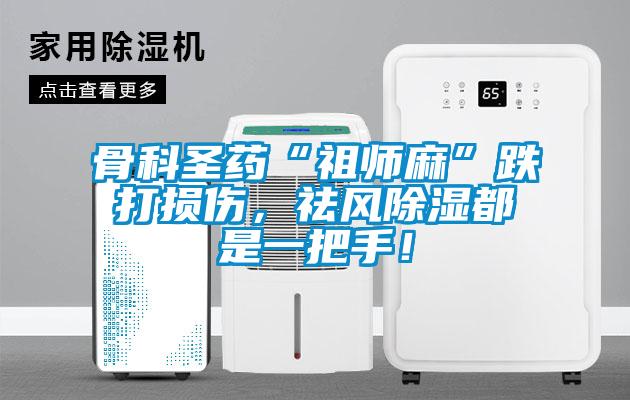 骨科圣藥“祖師麻”跌打損傷，祛風除濕都是一把手！