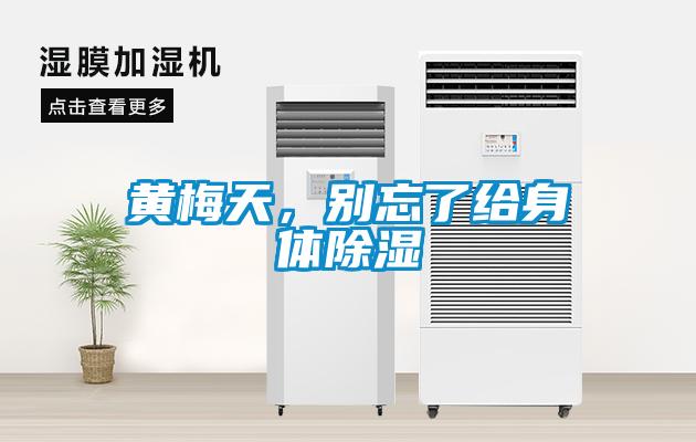 黃梅天，別忘了給身體除濕