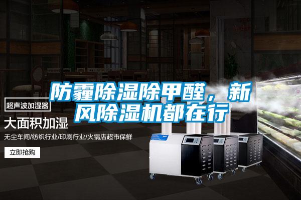 防霾除濕除甲醛，新風(fēng)除濕機(jī)都在行