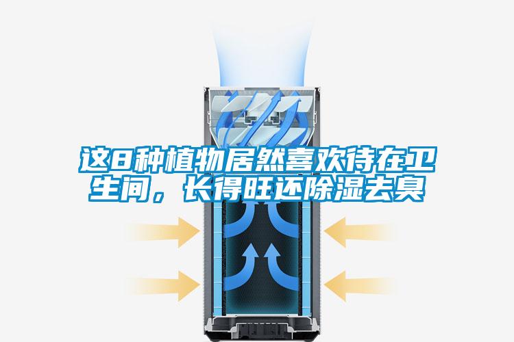 這8種植物居然喜歡待在衛(wèi)生間，長得旺還除濕去臭