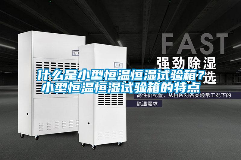 什么是小型恒溫恒濕試驗箱？小型恒溫恒濕試驗箱的特點