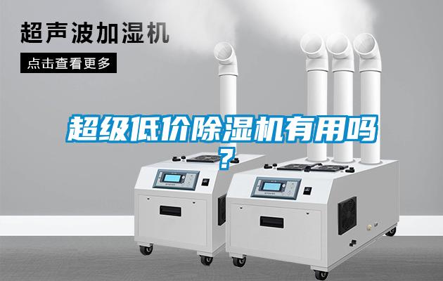 超級(jí)低價(jià)除濕機(jī)有用嗎？