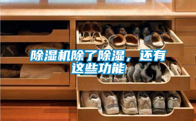 除濕機除了除濕，還有這些功能