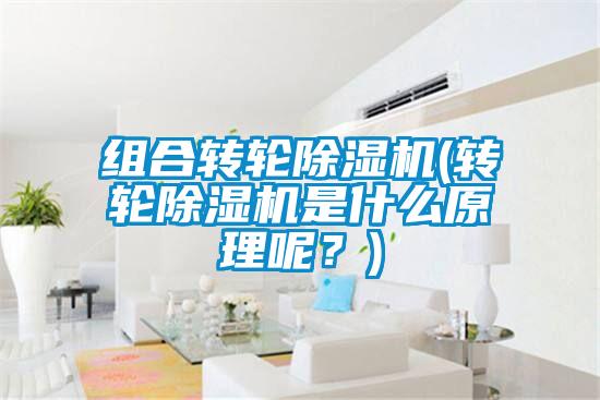 組合轉輪除濕機(轉輪除濕機是什么原理呢？)