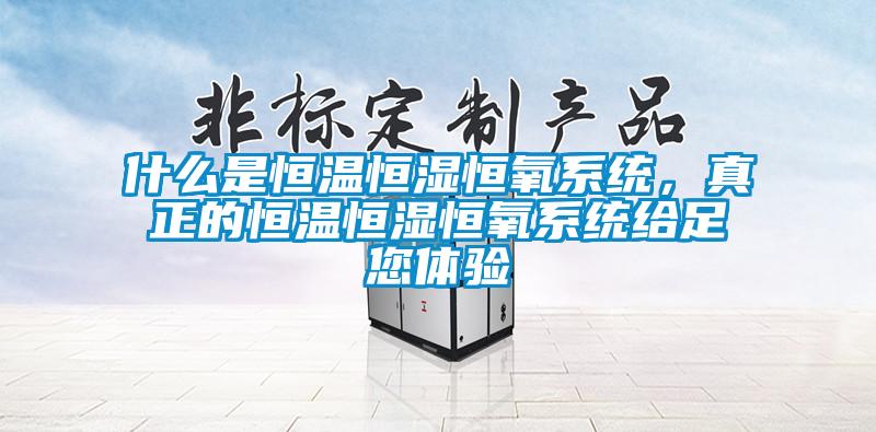 什么是恒溫恒濕恒氧系統，真正的恒溫恒濕恒氧系統給足您體驗