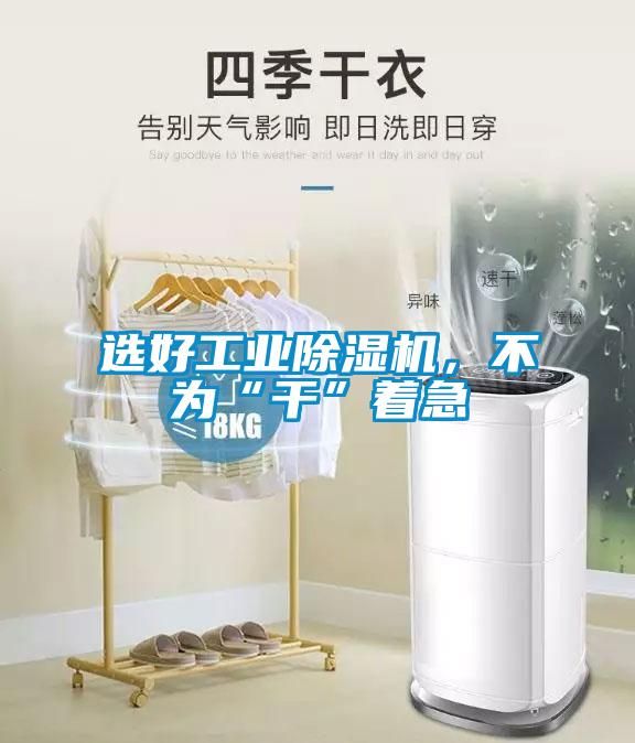 選好工業(yè)除濕機(jī)，不為“干”著急