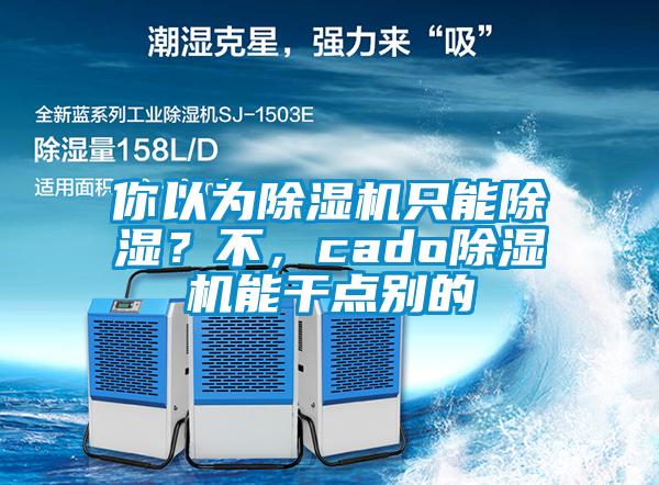 你以為除濕機(jī)只能除濕？不，cado除濕機(jī)能干點(diǎn)別的