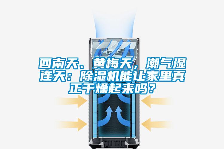 回南天、黃梅天，潮氣濕連天：除濕機(jī)能讓家里真正干燥起來嗎？