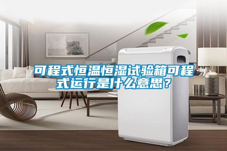 可程式恒溫恒濕試驗(yàn)箱可程式運(yùn)行是什么意思？