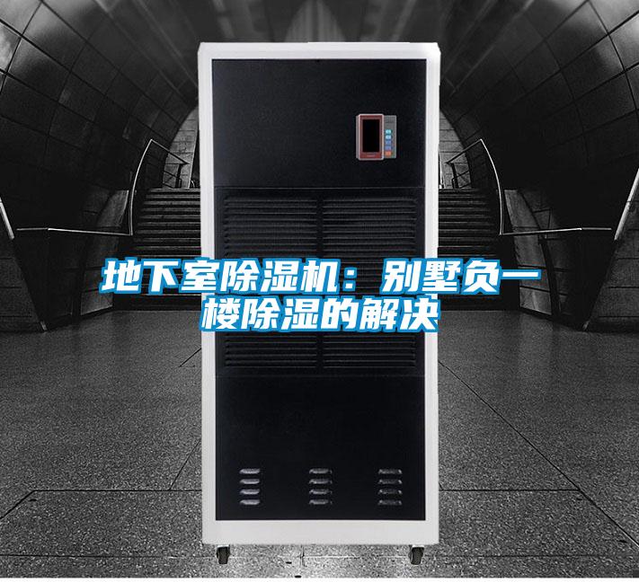 地下室除濕機(jī):別墅負(fù)一樓除濕的解決