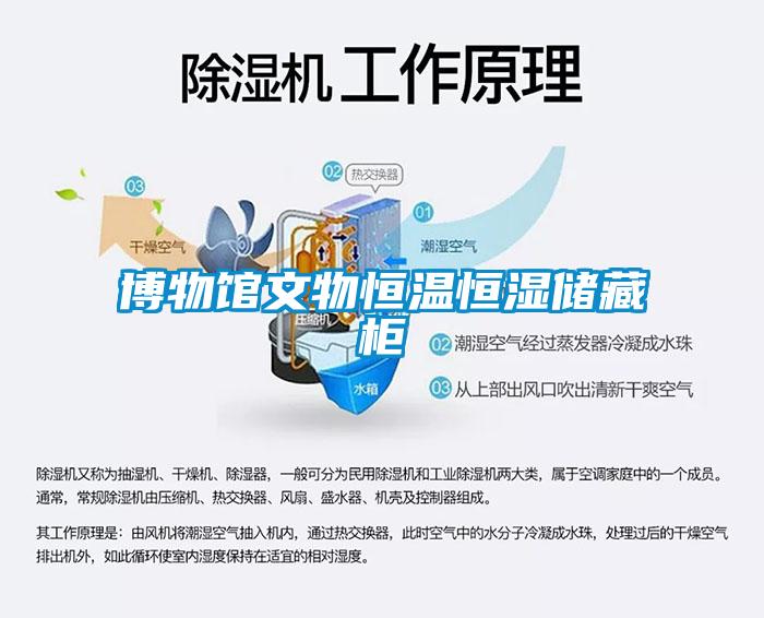 博物館文物恒溫恒濕儲(chǔ)藏柜