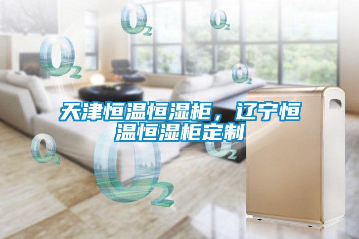 天津恒溫恒濕柜，遼寧恒溫恒濕柜定制