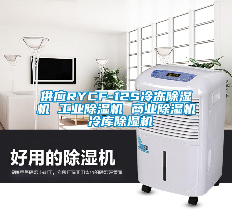 供應RYCF-12S冷凍除濕機 工業(yè)除濕機 商業(yè)除濕機 冷庫除濕機