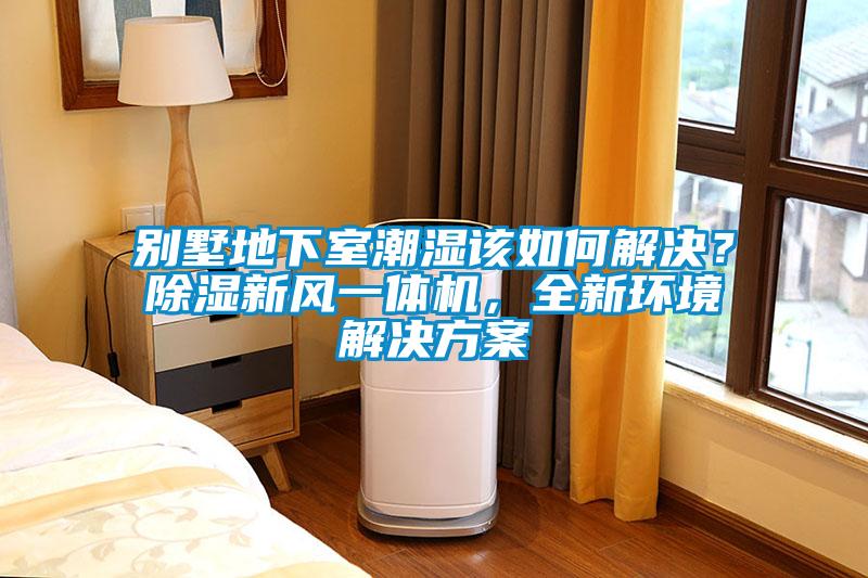 別墅地下室潮濕該如何解決？除濕新風一體機，全新環境解決方案