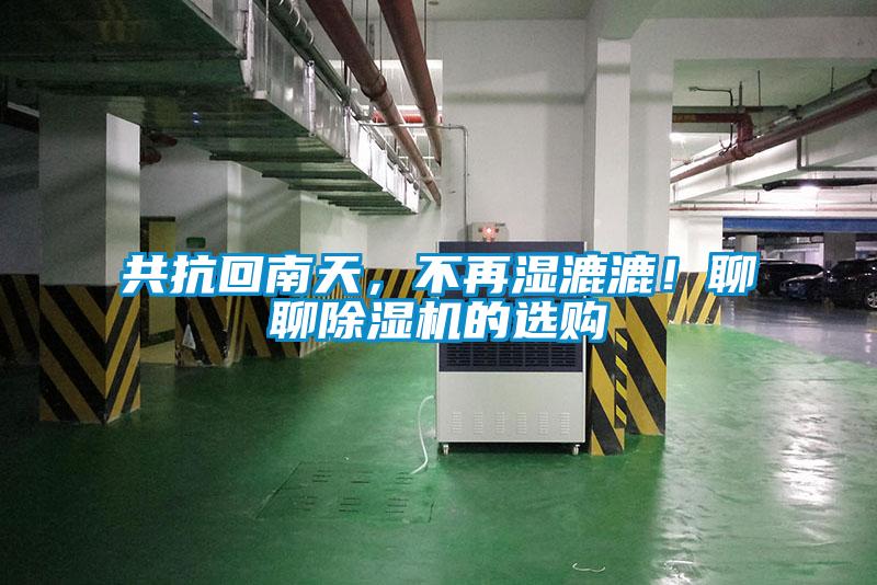 共抗回南天，不再濕漉漉！聊聊除濕機的選購
