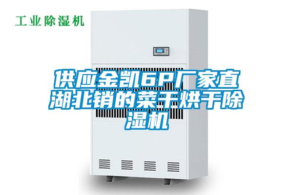 供應(yīng)金凱6P廠(chǎng)家直湖北銷(xiāo)的菜干烘干除濕機(jī)