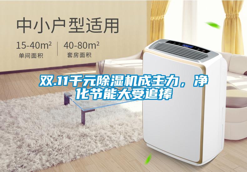 雙.11千元除濕機成主力，凈化節(jié)能大受追捧