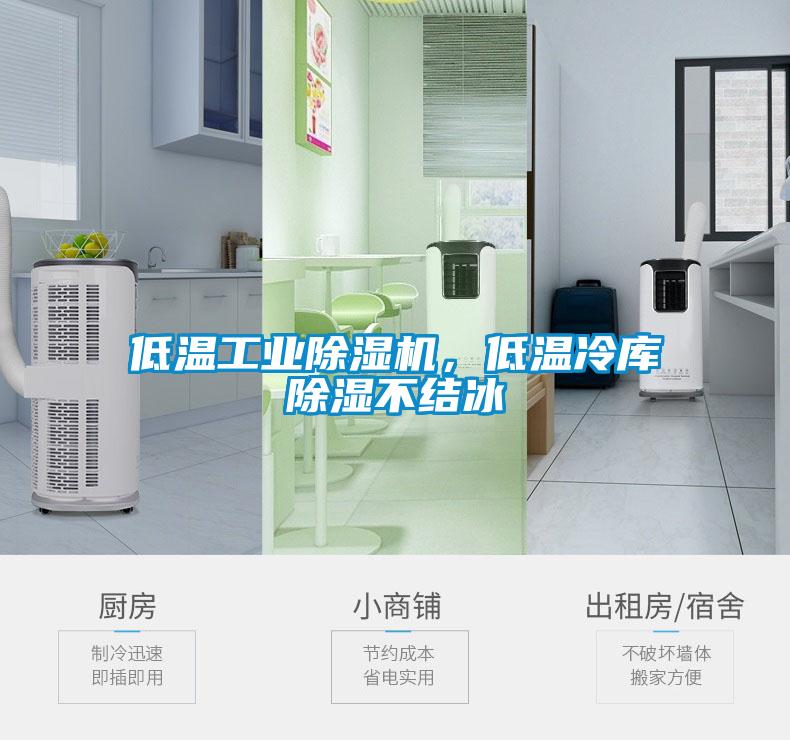 低溫工業(yè)除濕機，低溫冷庫除濕不結冰