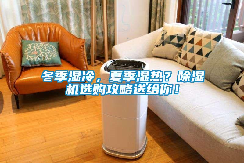 冬季濕冷，夏季濕熱？除濕機選購攻略送給你！