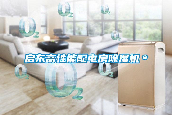 啟東高性能配電房除濕機*