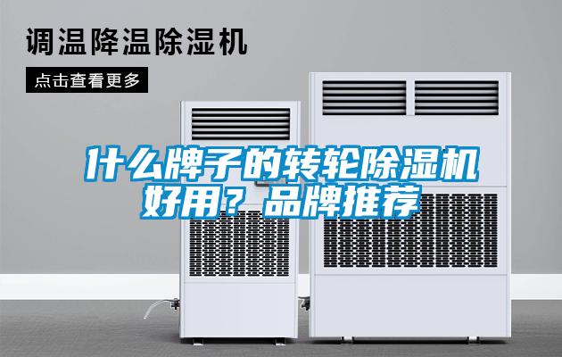 什么牌子的轉(zhuǎn)輪除濕機(jī)好用？品牌推薦