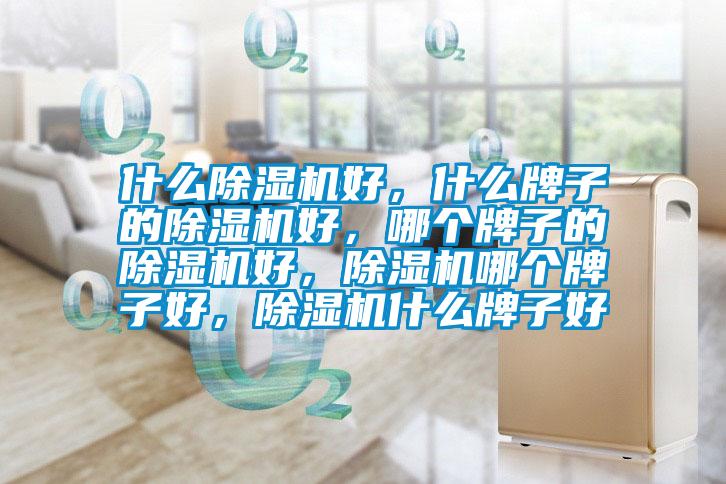 什么除濕機好，什么牌子的除濕機好，哪個牌子的除濕機好，除濕機哪個牌子好，除濕機什么牌子好