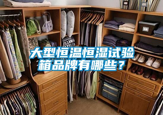 大型恒溫恒濕試驗箱品牌有哪些？