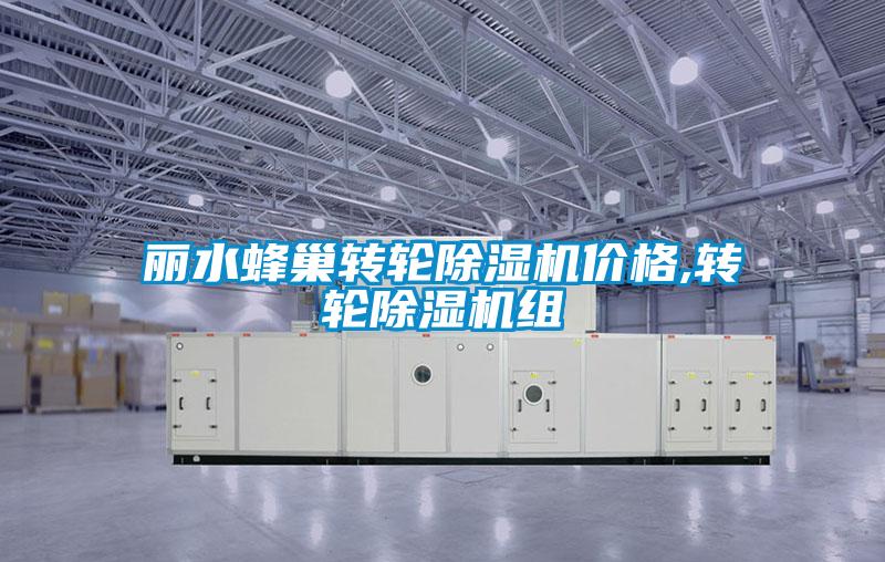 麗水蜂巢轉(zhuǎn)輪除濕機(jī)價格,轉(zhuǎn)輪除濕機(jī)組
