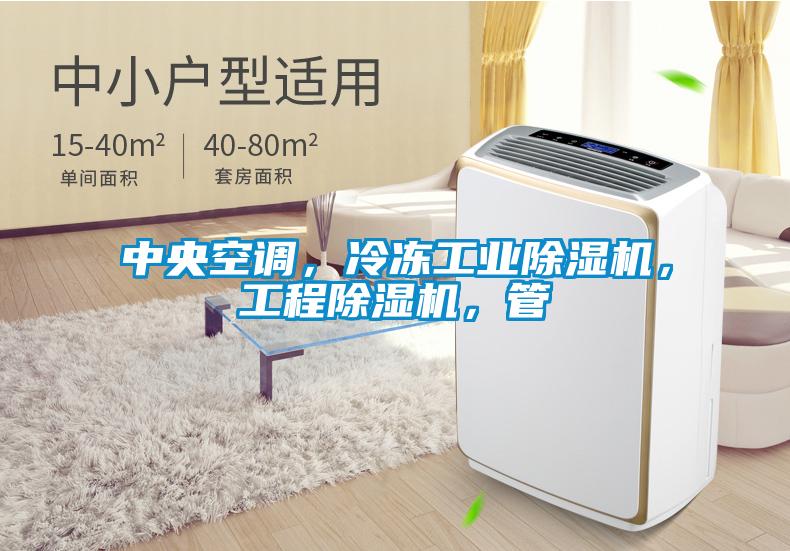 中央空調(diào)，冷凍工業(yè)除濕機，工程除濕機，管