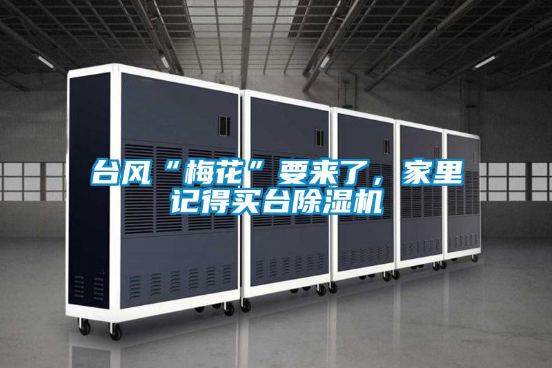 臺(tái)風(fēng)“梅花”要來(lái)了，家里記得買臺(tái)除濕機(jī)