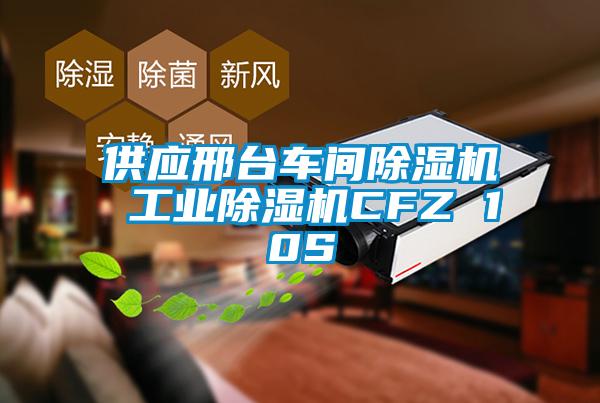 供應邢臺車間除濕機 工業(yè)除濕機CFZ 10S