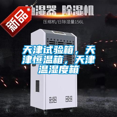 天津試驗箱，天津恒溫箱，天津溫濕度箱