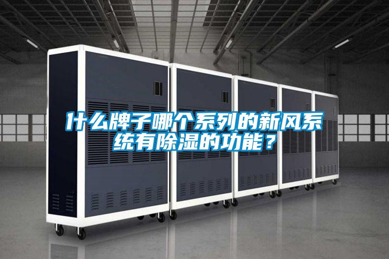 什么牌子哪個系列的新風系統有除濕的功能？