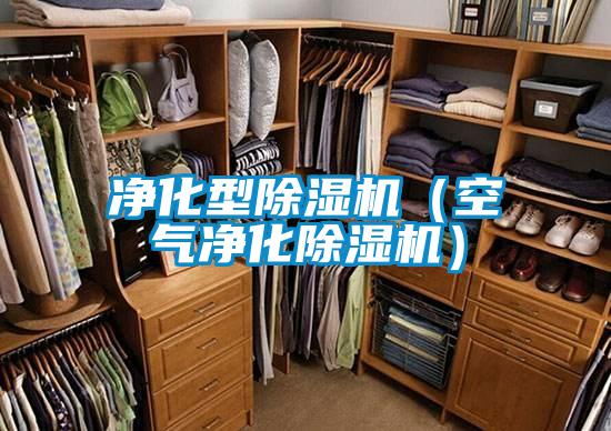 凈化型除濕機(空氣凈化除濕機)