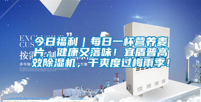 今日福利｜每日一杯營養(yǎng)麥片，健康又落味！宜盾普高效除濕機(jī)，干爽度過梅雨季！