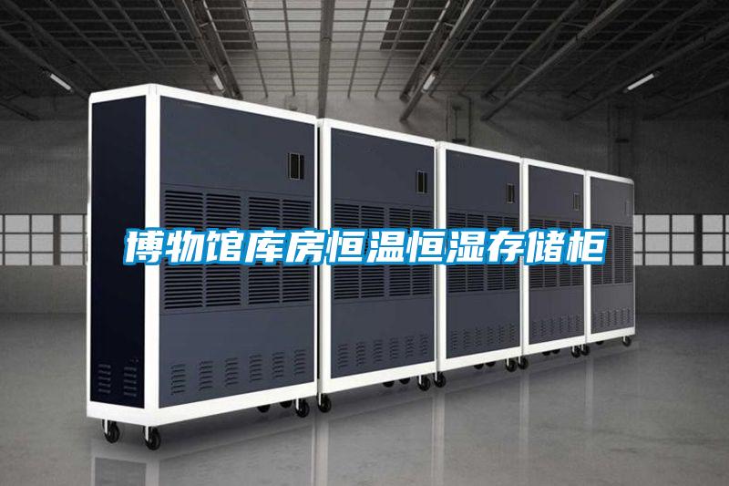 博物館庫房恒溫恒濕存儲(chǔ)柜
