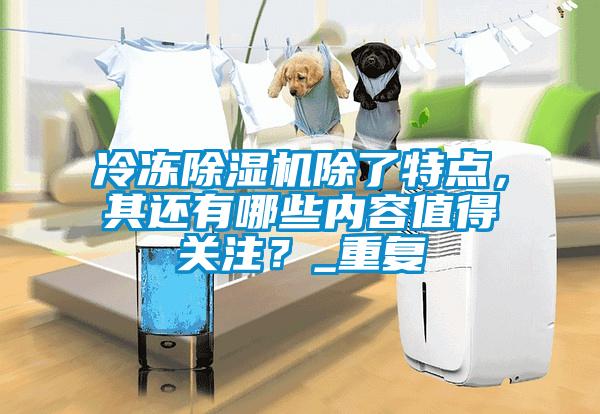 冷凍除濕機除了特點，其還有哪些內容值得關注？_重復